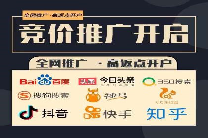 竞价广告赚钱秘籍：百度实战案例